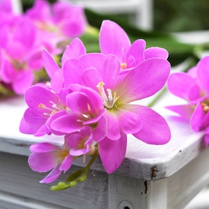 Real Touch Freesia (Magenta ) Long Stem Artificial Flowers, Wedding, Home Decor,Arrangment 6 Stems