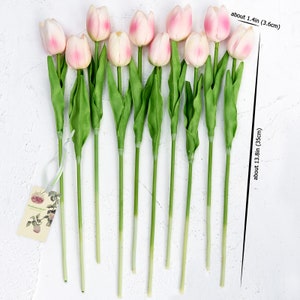 May include: A bouquet of 10 pink artificial tulips with green stems. The tulips are about 1.4 inches wide and the stems are about 13.8 inches long.