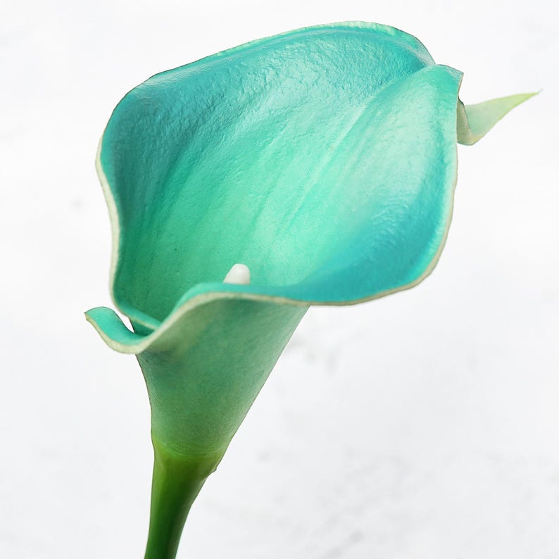 10 lys calla bleu aqua : tiges en PU au toucher réel pour vases image 6