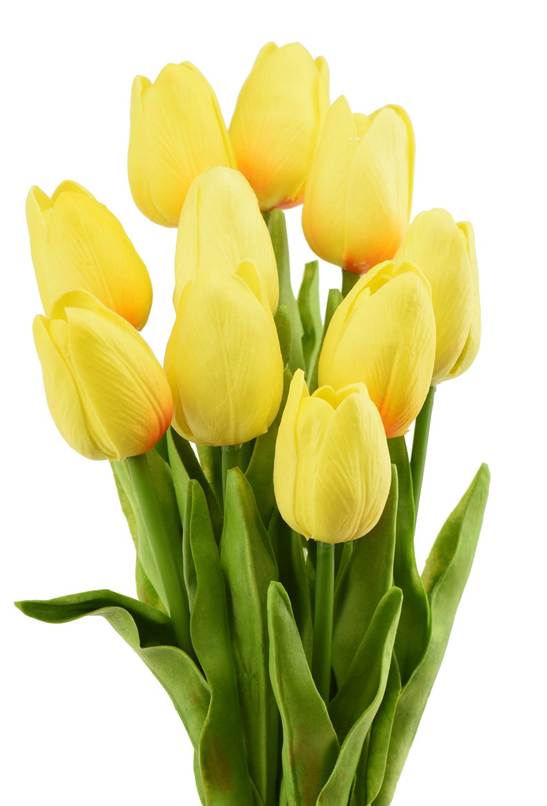 Fiveseasonstuff 10 Stems of yellow Real Touch Tulip Etsy
