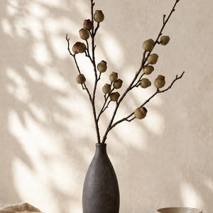 Puede incluir: Un jarrón de cerámica gris carbón oscuro con cuello estrecho sostiene una rama con numerosas vainas pequeñas, redondas, de color verde claro y marrón. Un cuenco pequeño, poco profundo y de color beige moteado se sitúa a la derecha del jarrón.