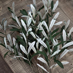 Lifelike Premium Olive Stems: Quality 30-inch Artificial Greenery for Floral Arrangements and Stylish Decor 6 Stems FiveSeasonStuff Floral image 2