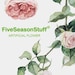 FiveSeasonStuff