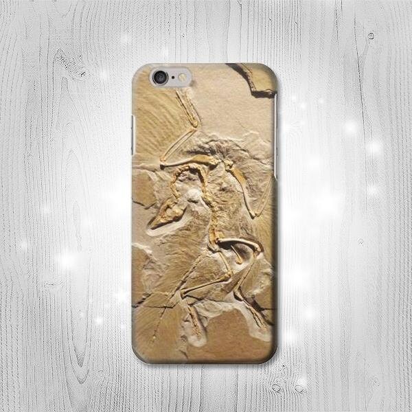 Dinosaur Fossil Hard \u0026 Leather Flip 