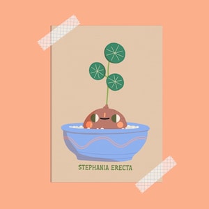 Carte postale botanique avec bulbe de Stephania Erecta / Cartes illustrées de plantes / Papeterie mignonne et kawaii de Bloemkolie / Plantlover