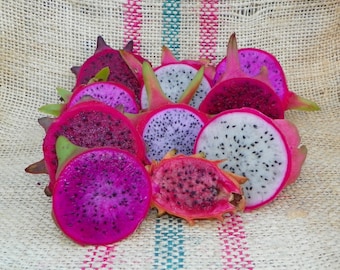 SpicyExotics.com Pitaya , Dragon Fruit ,  Plant Cuttings (4)