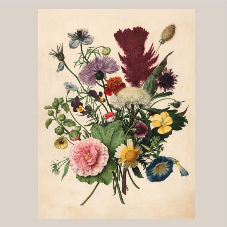 Vintage Botanical Flower Bouquet Print, Dutch Floral Illustration Wall ...