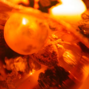 Peut inclure: Gros plan sur un morceau d'ambre avec une petite inclusion ronde orange. L'ambre est translucide et a une teinte chaude et dorée.