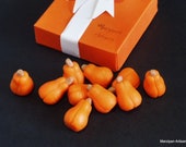 Marzipan Butternut Squash Novelty Foodie Gift for Gardeners Cake Topper Decor