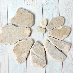 Puede incluir: Una colección de piedras beige claro de forma irregular, dispuestas en un patrón circular. Las piedras tienen una textura rugosa y diferentes tonos de beige y gris. El fondo es una superficie de madera azul claro y blanco.