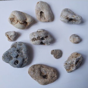 Holey Beach Stones - Bulk Lot of 10, Good Luck Charms