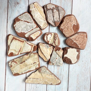 以下が含まれることがあります： 茶色と白のまだら模様の、不規則な形の平らな石が10個集められています。石は明るい木製の表面に円形に配置されています。