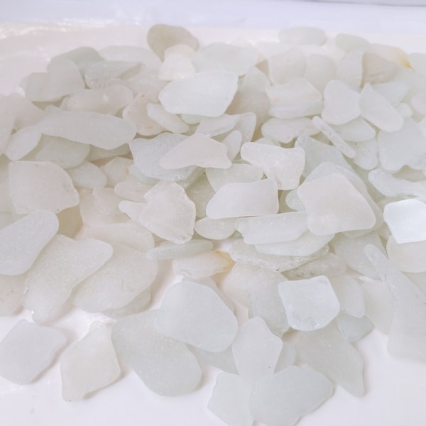 150 white but blue dry - gray wet natural beach bulk sea glass - supplies genuine raw material polished stones