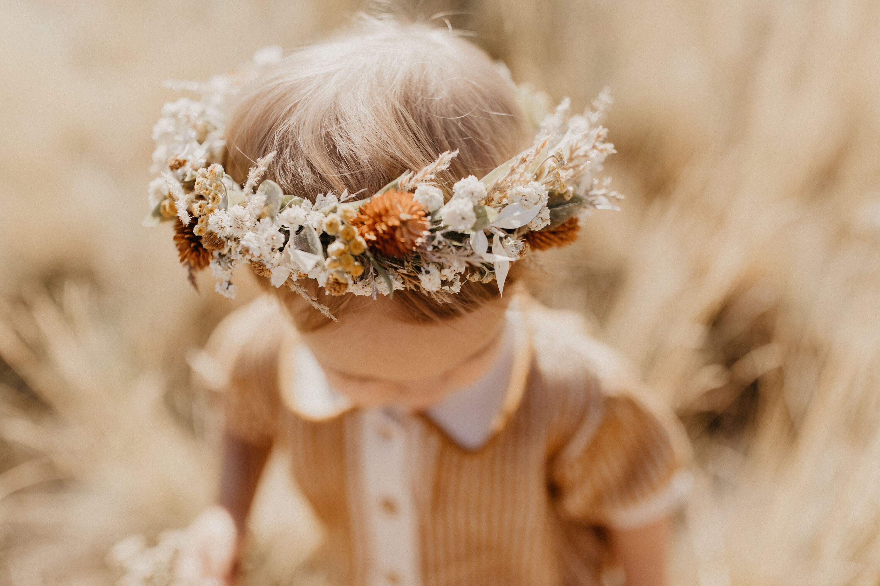Dried Flower Crown, Newborn Crown, Flower Crown Halo, Baby Flower Crown