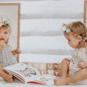 Blush Pink Flower Crown: Baby Birthday Photo Prop