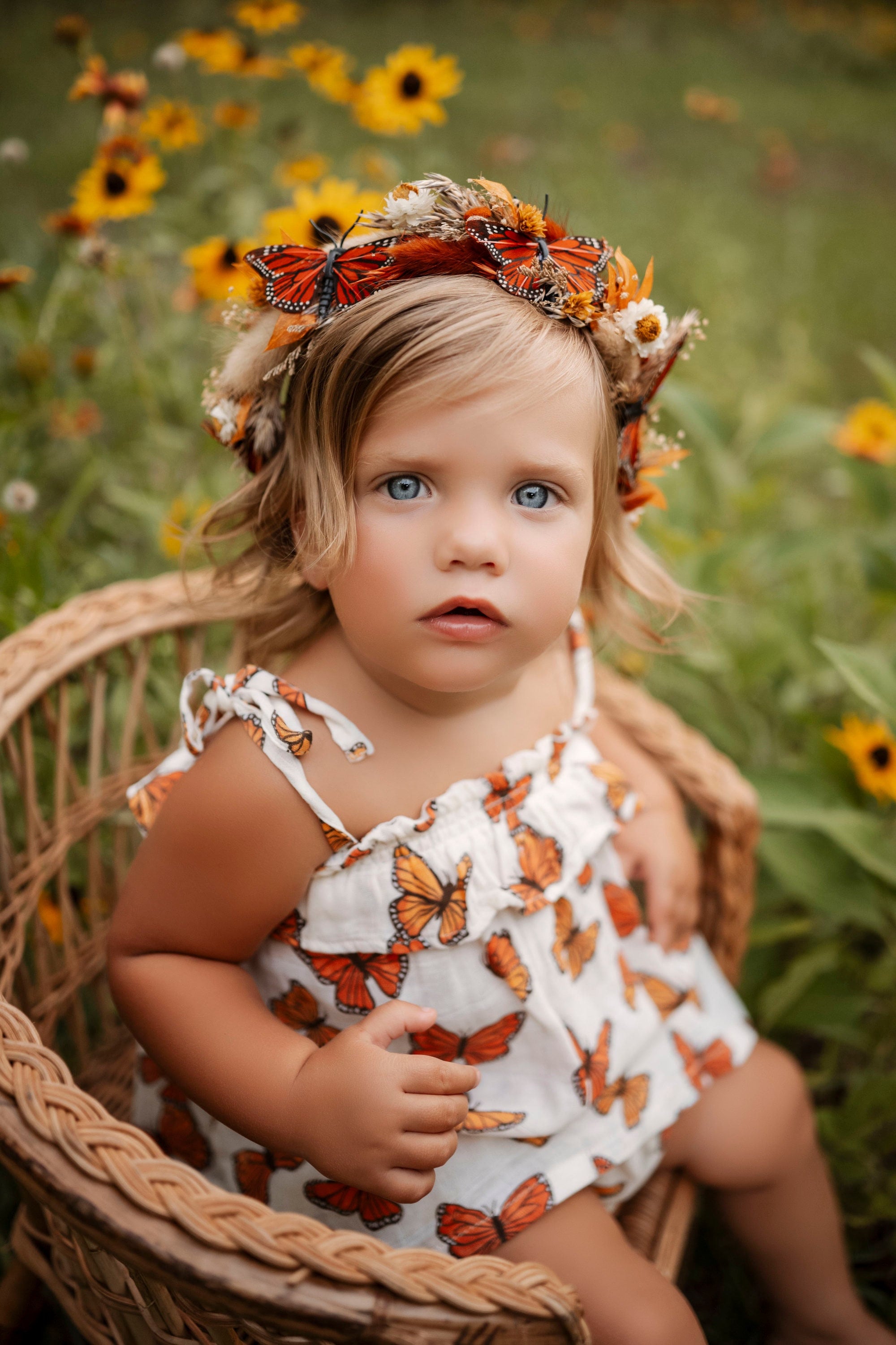 Dried Flower Butterfly Crown Monarch Butterfly Newborn Crown Baby Flower Crown With Butterfly First Birthday Butterfly Theme Party Halloween