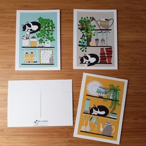 Set di cartoline per gatti - Cartolina del capannone - Gatto da bagno - Gatto da cucina - Cartolina illustrata di gatto bianco e nero - Cartoline di amante dei gatti