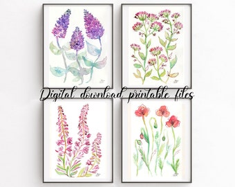 WILDFLOWERS set of 4 art prints, watercolor and ink paintings poppy buddleia willowherb lilac, pink green purple, digital printable files
