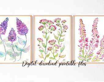 PINK WILDFLOWERS set of 3 art prints, watercolor and ink paintings buddleia willowherb lilac, green purple, digital download printable files