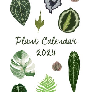 DIGITAL TROPICAL PLANTS Calendar 2024, botanical illustrations art print, alocasia anthurium begonia monstera sansevieria peperomia ferns