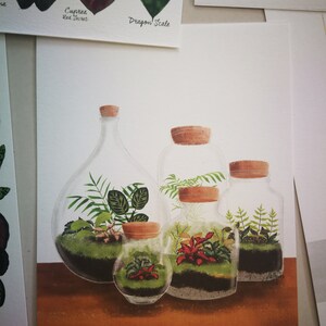 LAST ART PRINTS botanical illustration, tropical, home kitchen decor, christmas xmas gift image 3