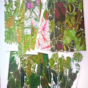 set of TROPICAL plants BOOKMARKS watercolor art Caladium Calatheas Alocasia Monstera Anthurium Ferns, prayer plants, botanical art prints