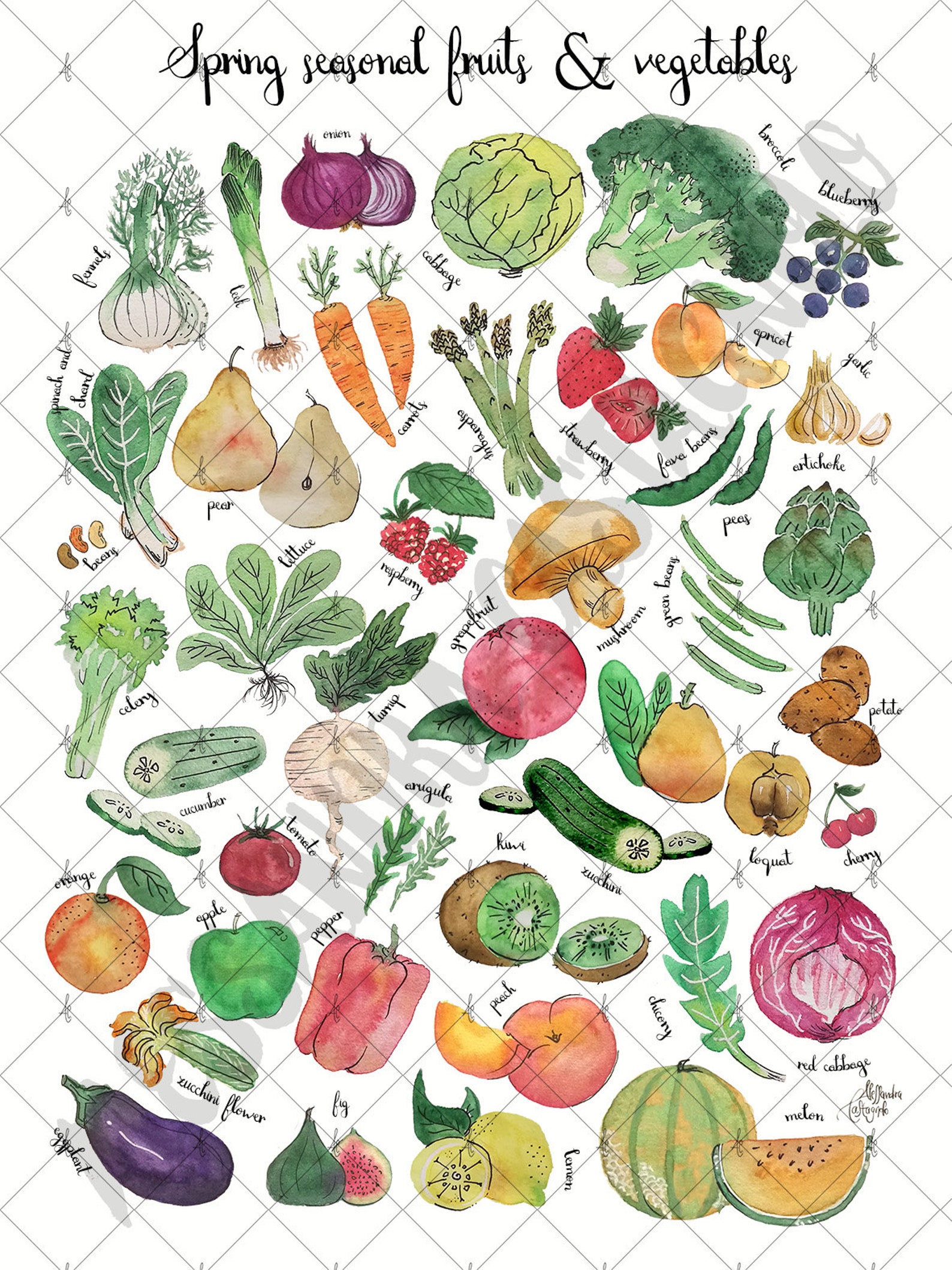 FOUR SEASON seasonal fruits &amp; vegetables prints set of 4 | Etsy