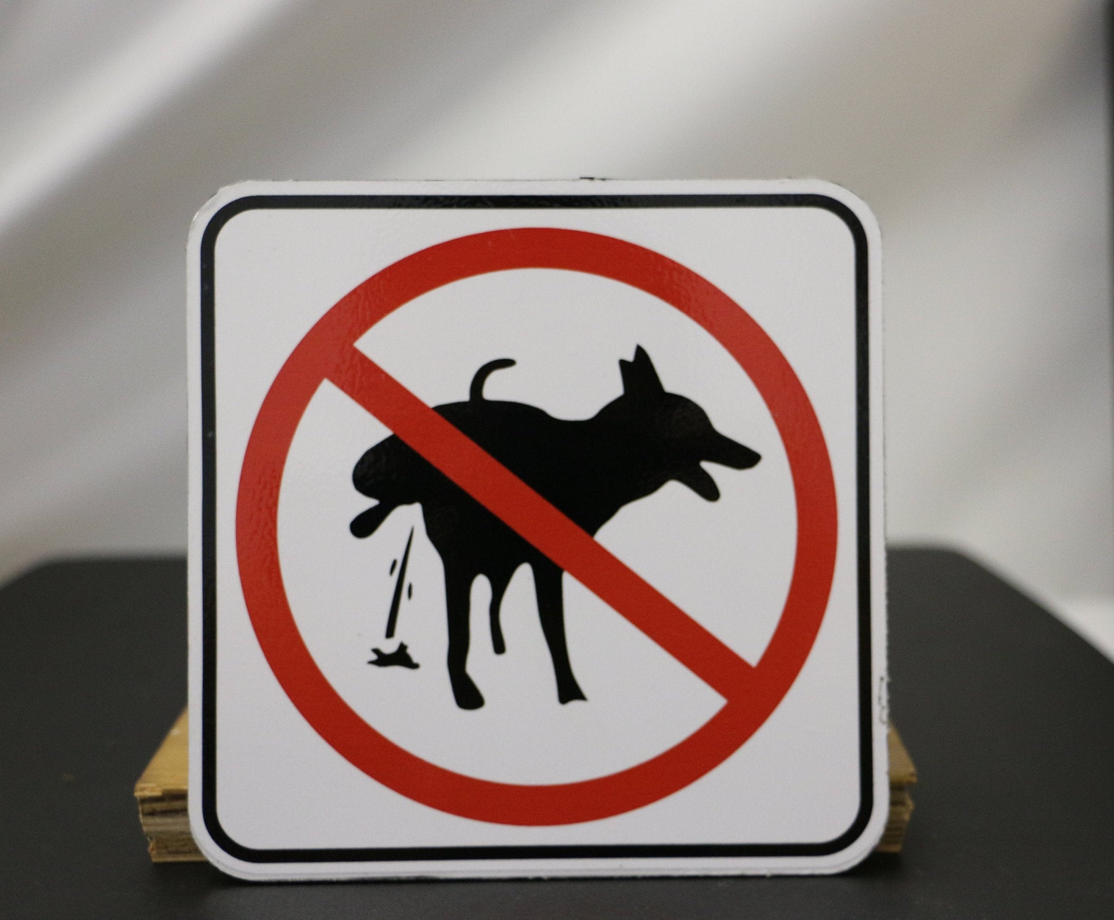 No Pee Dog Sign Etsy