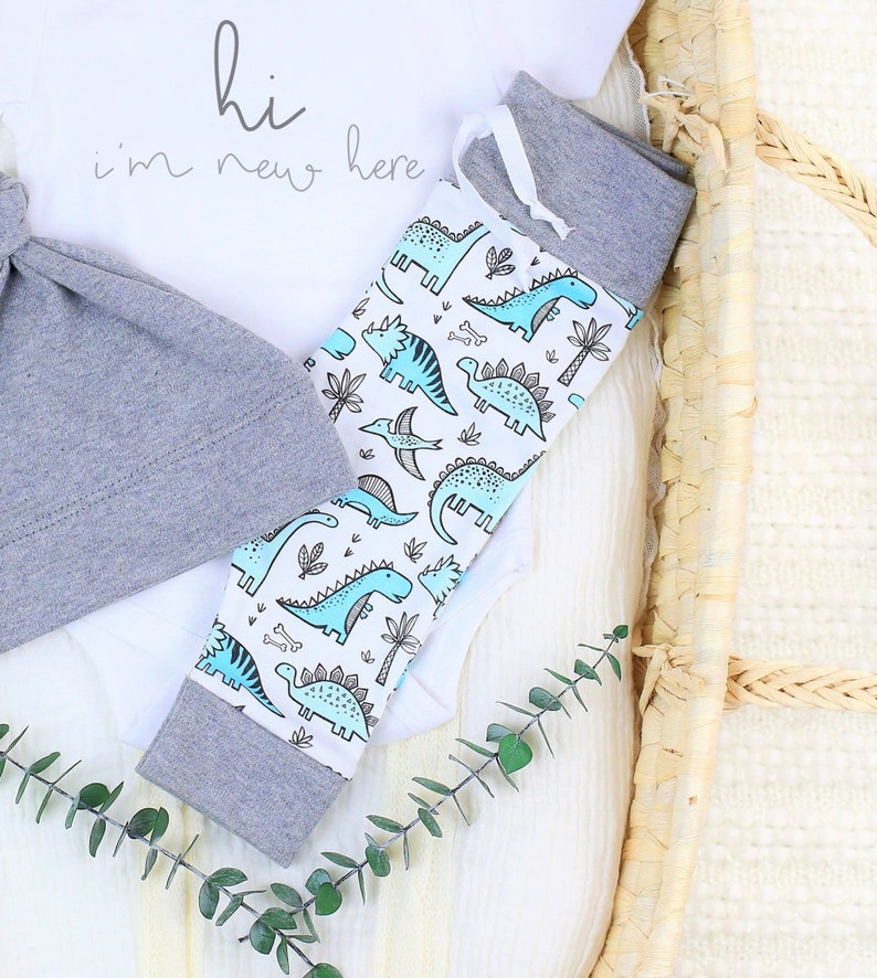 Organic Baby Clothes Dinosaur Baby Clothes Baby Boy Coming | Etsy