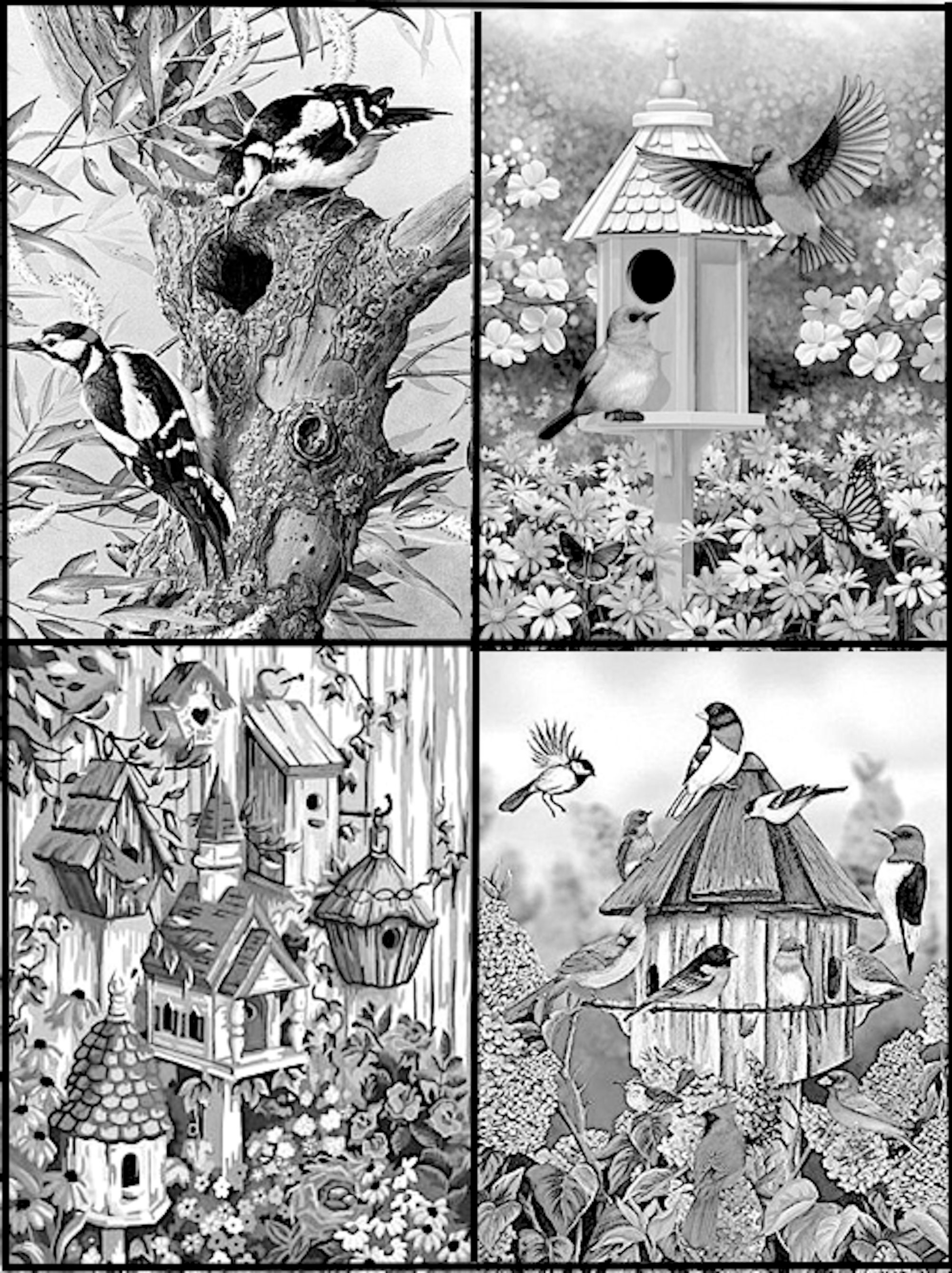 Birds Houses Coloring Pages 9 PDF Pages Printable Instant | Etsy
