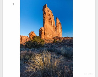 VERTICAL landscape of Courthouse Tower, Arches N.P. Photograph printed on canvas.