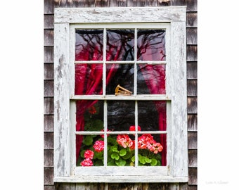 VERTICAL photo of red geraniums in cottage window in Maine.  Photograph printed on canvas.