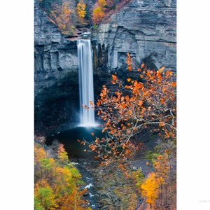 Vertical photograph of Taughannock Falls in autumn. Ithaca, N.Y. Printed on canvas. image 1