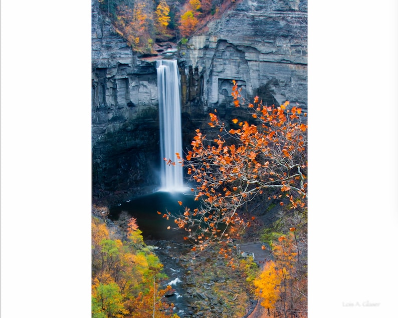 Vertical photograph of Taughannock Falls in autumn. Ithaca, N.Y. Printed on canvas. image 1