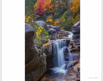 Vertical autumn landscape of Screw Auger Falls, Grafton State Park, Maine. Photograph printed on canvas.