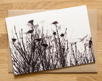 Starlings - Fine Art Photography Nature Card