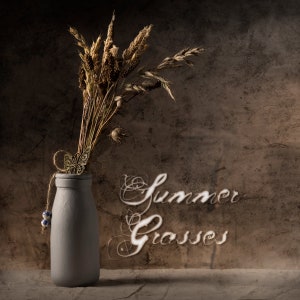 Summer Grasses - Rustic fine art photographic print
