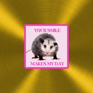 Votre sourire illumine ma journée Sticker