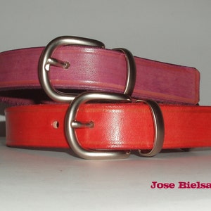 Leather Dog Collar Medium//Handmade Craftwork // Belt Dog // Pet Collar