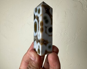 8th vein Ocean Jasper (Madagascar)
