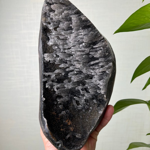 Rare Galaxy Black Amethyst