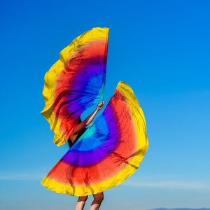 Pair Silk Flag Poi half circle