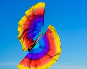 Flag Poi half circle Pair of silk poi