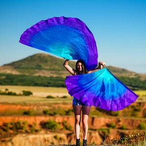 Pair Silk Flag Poi half circle