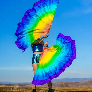 Pair Silk Flag Poi half circle