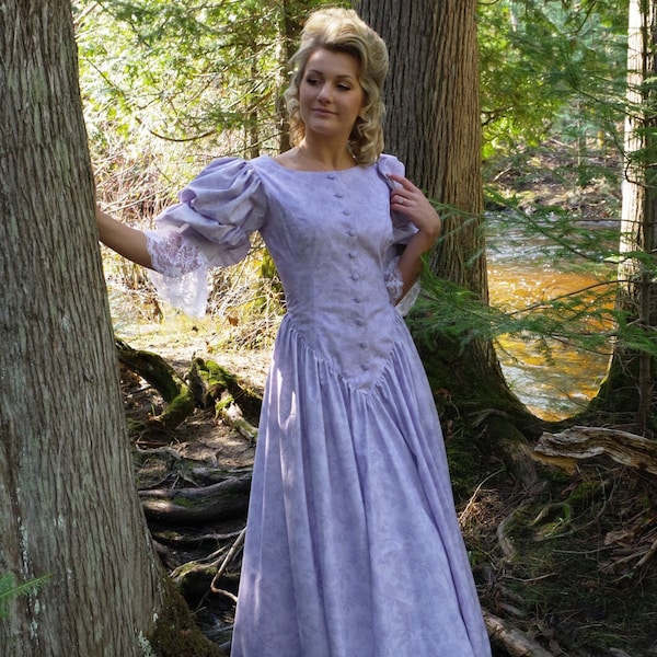Aileen Victorian Style Dress