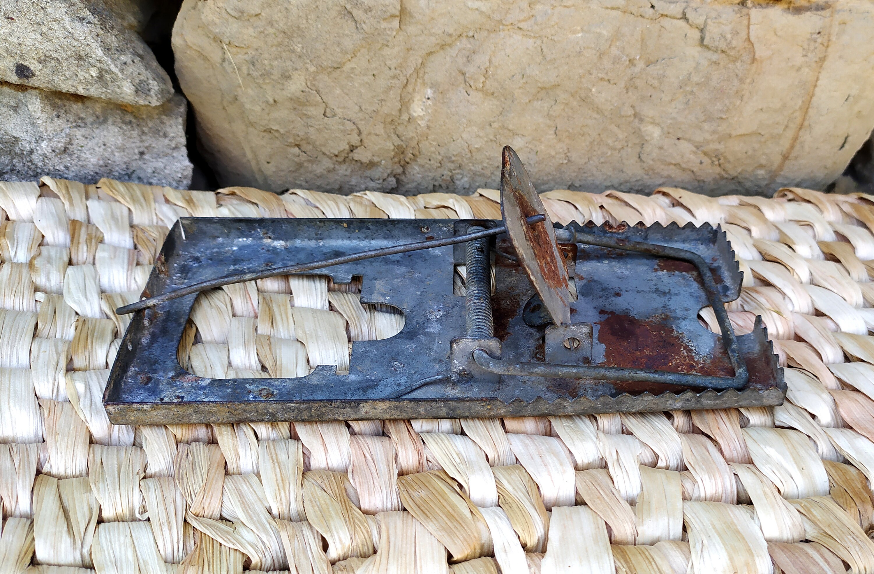 Antique Primitive Mouse Trap Etsy