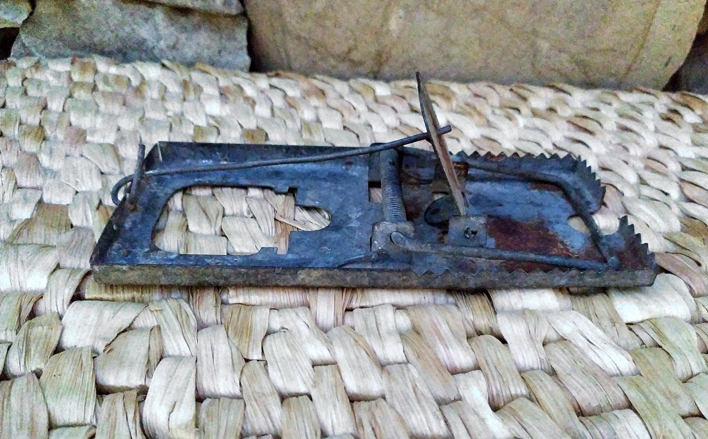 Antique Primitive Mouse Trap Etsy