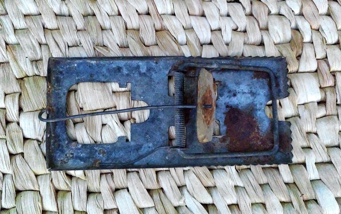 Antique Primitive Mouse Trap Etsy
