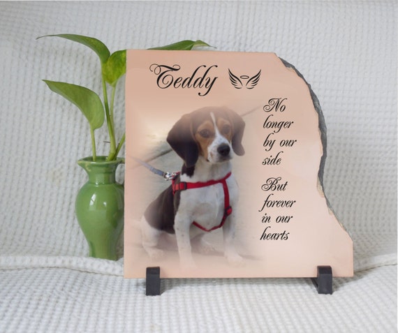 Pet loss gift pet memorial gift Dog loss Pet Sympathy Gift ...